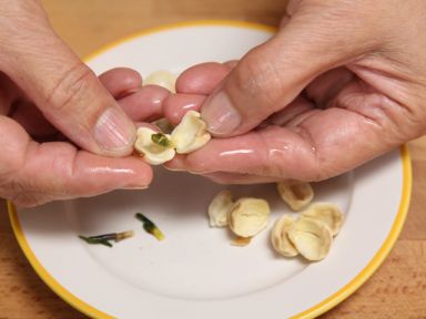 ��轹�Բ��չ��������