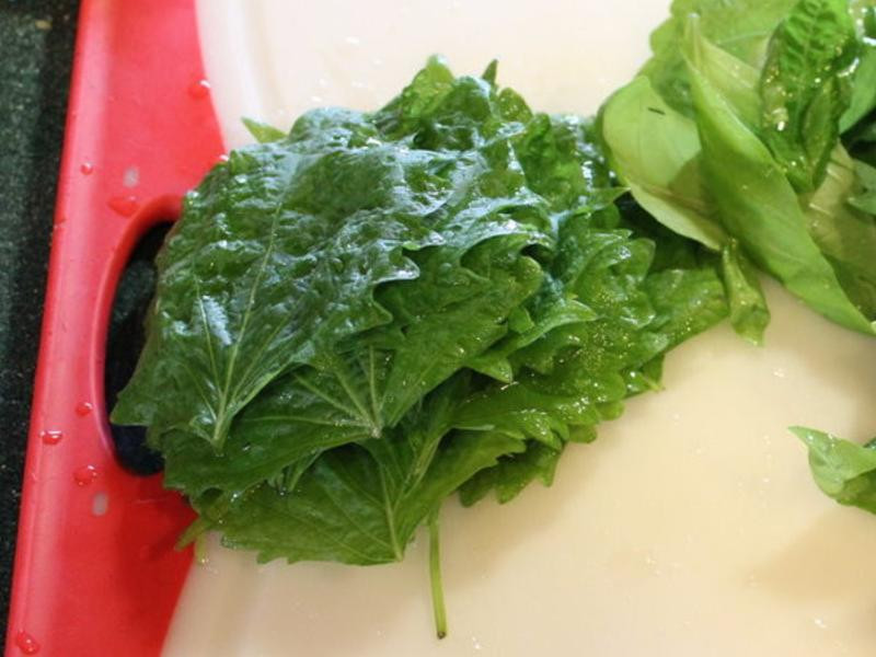 ���ռ����������