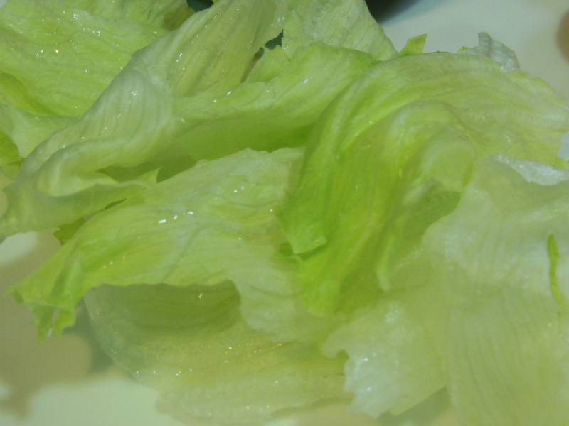 �ʴ�ݫ��嵰~����ʳ������