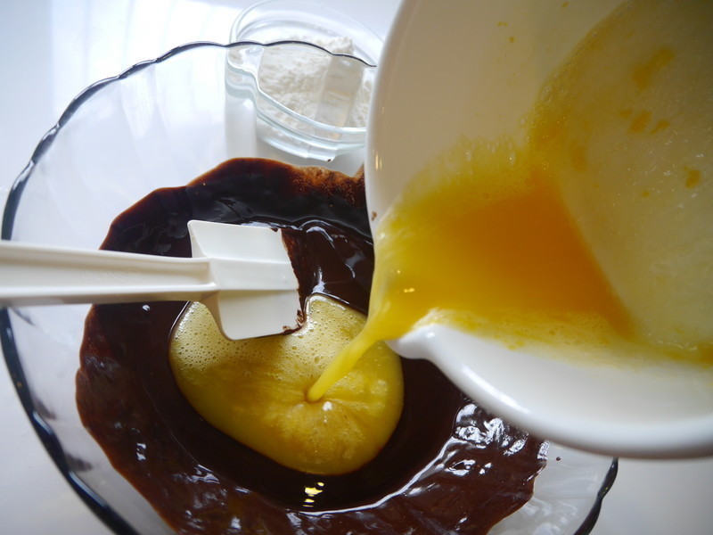 �����ɿ�������&�ɹ��ؾ�������