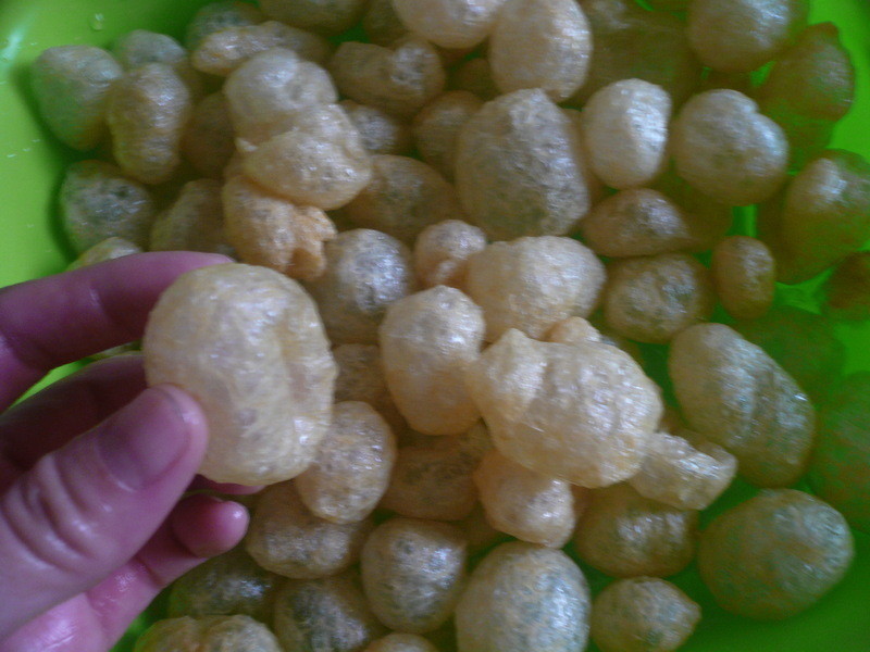 ����С��ͬ�ֻᩤ������T������