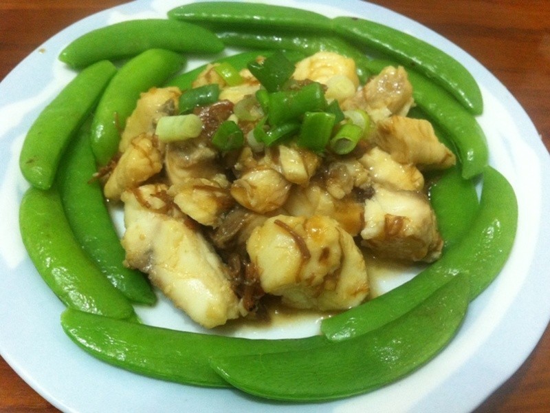 XO������Ƭ������