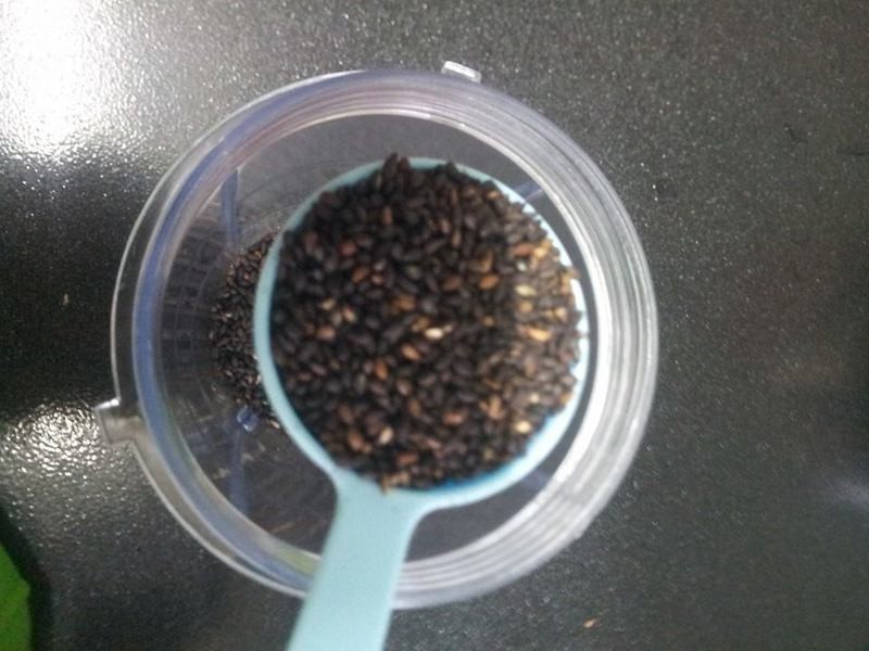 ��֥���׽�������