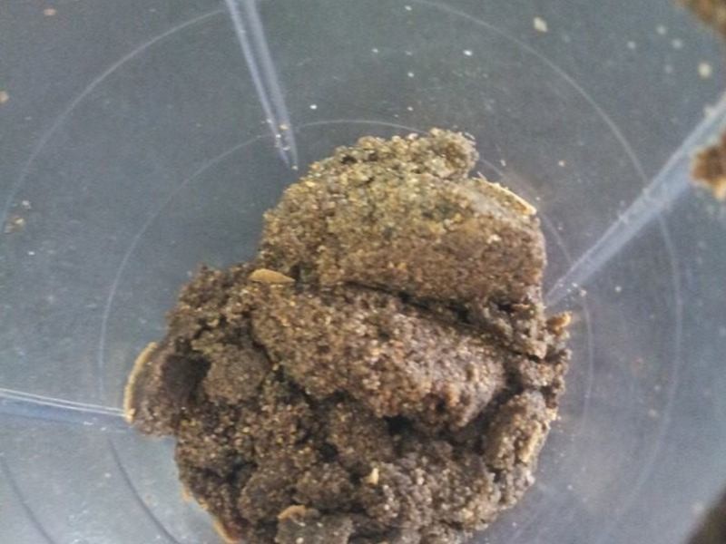 ��֥���׽�������