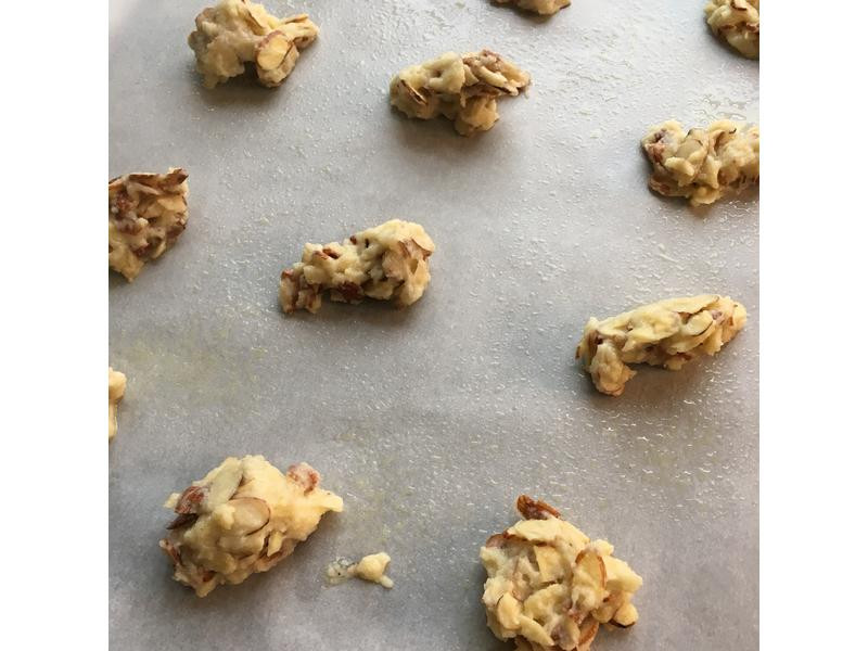 ��ͪ������Ƭ������