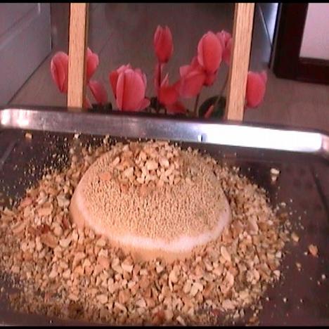 自己在家做美味的油茶面的做法