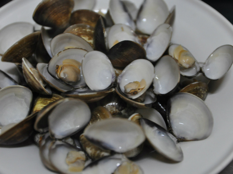 ������ĩ���۵�����