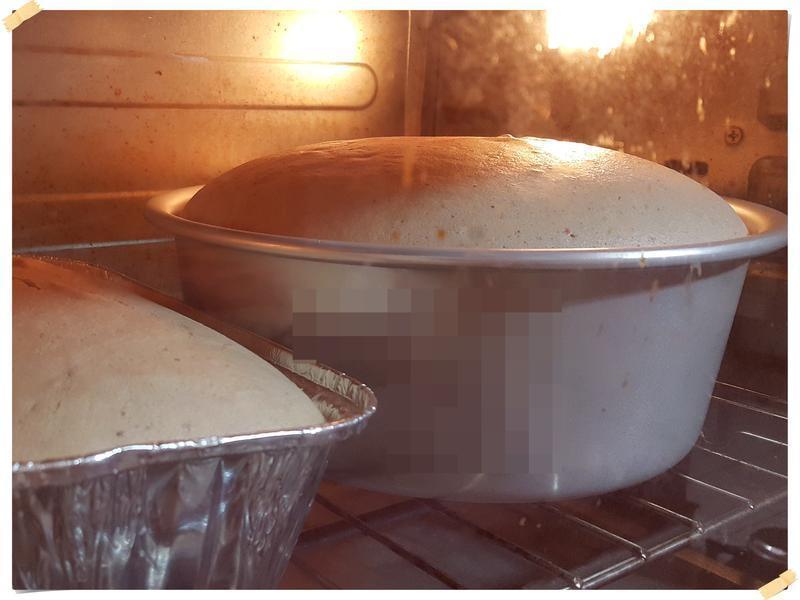 ���Ὺ�ѵĲ����ݷ絰�������