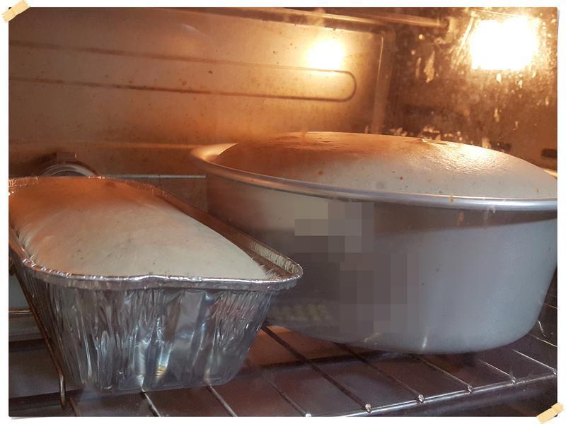 ���Ὺ�ѵĲ����ݷ絰�������