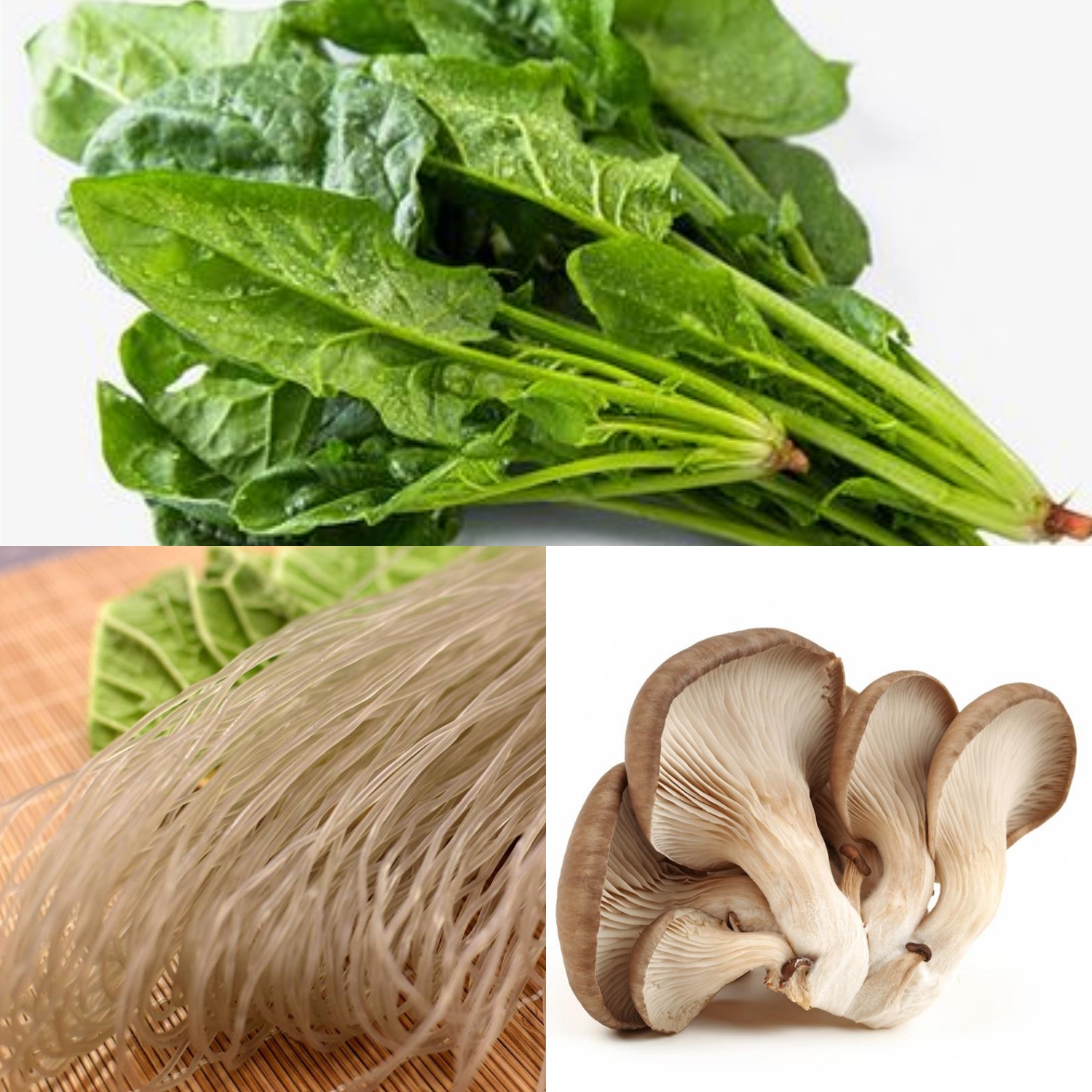 ����������ȵ�����