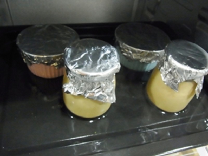 ���ȿ�����������