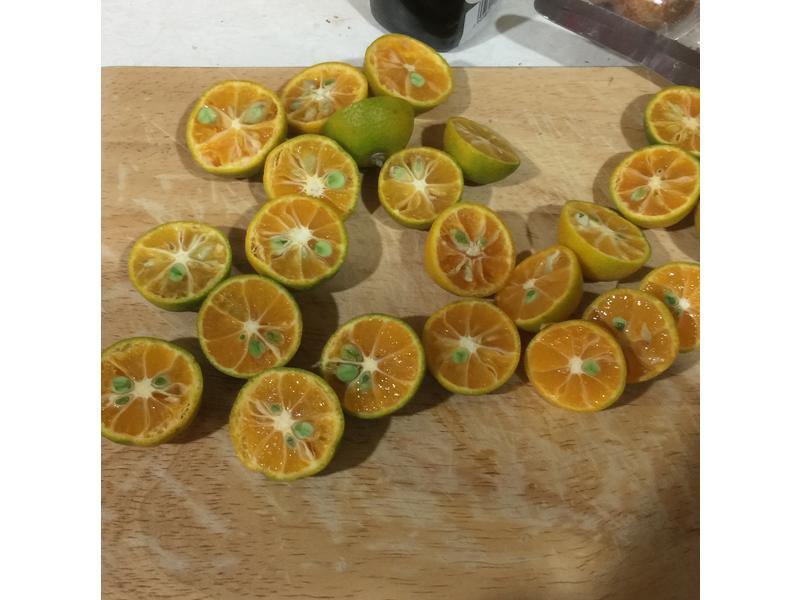 �����÷�۵�����