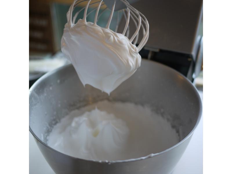 ����ϸ��ָ�ִ��������