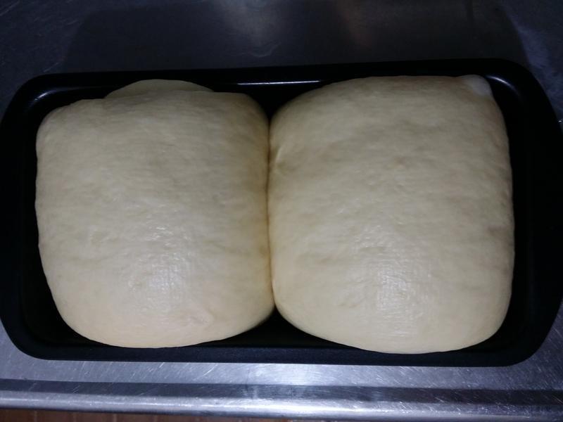 ����ţ����˾������