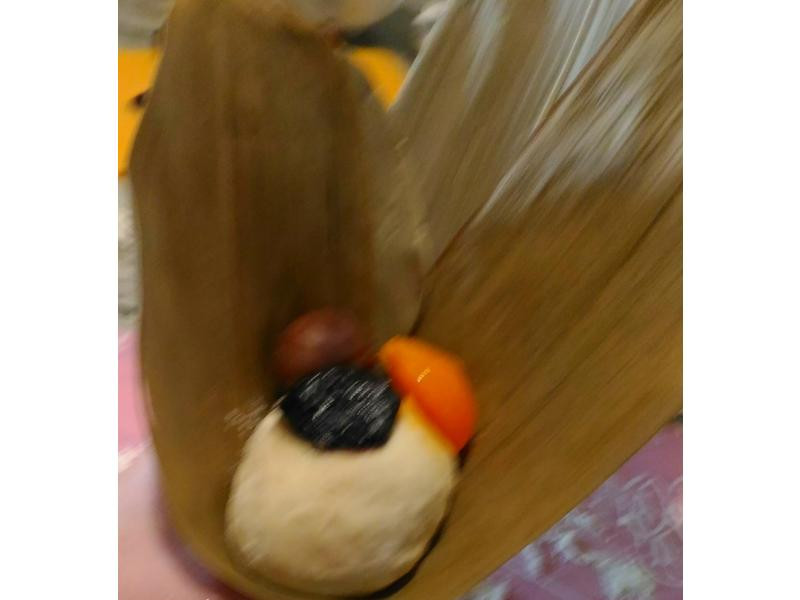 �������������