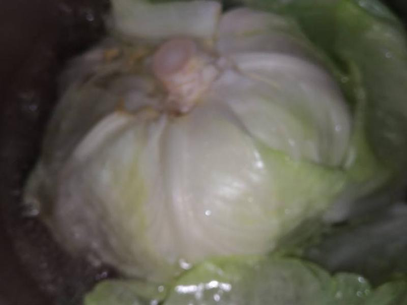 ���������������