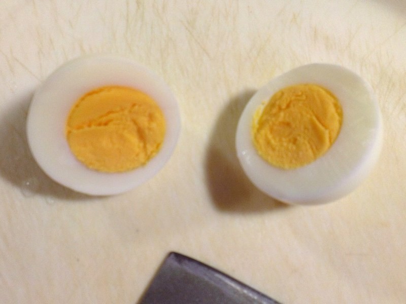 �����ɳ���¹��㳦������