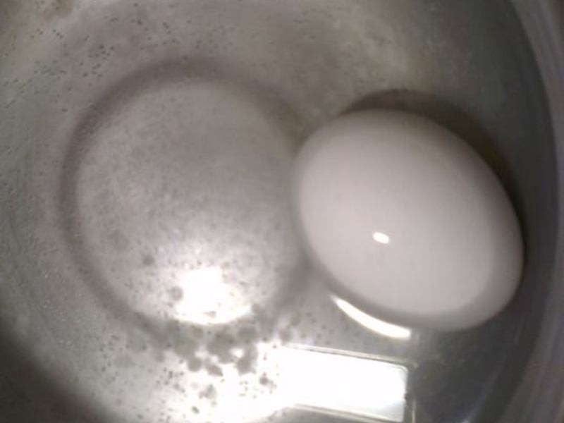 �����ɳ���¹��㳦������