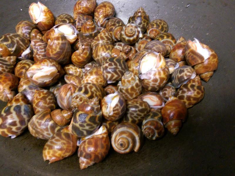 ���ˤκ�������?������