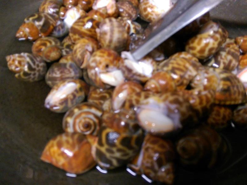 ���ˤκ�������?������