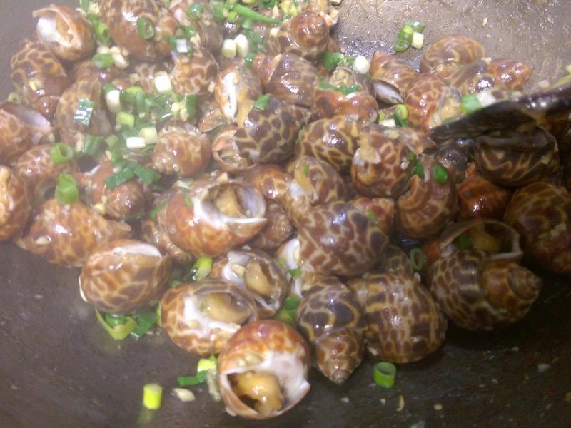 ���ˤκ�������?������