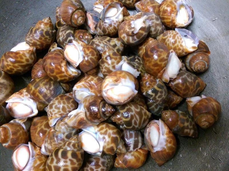 ���ˤκ�������?������