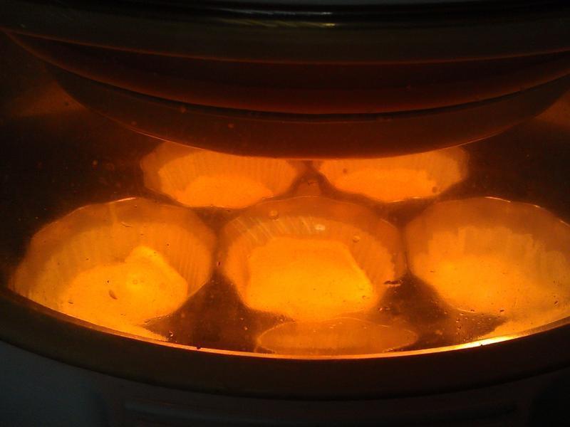 ���׵���������