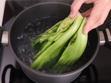 ������˵�����