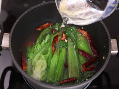 ������˵�����