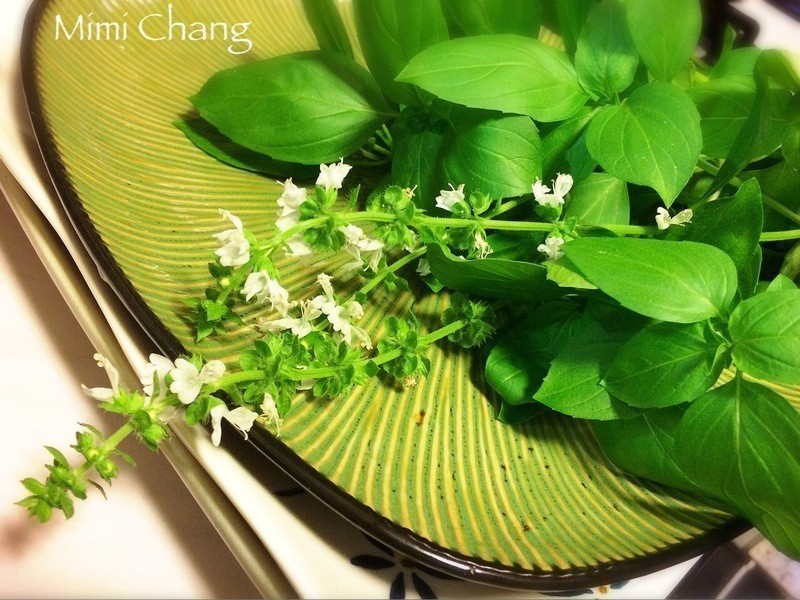 Mimi?��԰���㿾Ϻ������