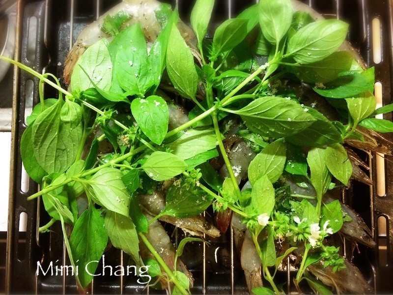 Mimi?��԰���㿾Ϻ������