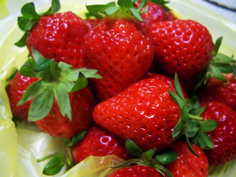 �����۲�ݮƻ����?Oly*������