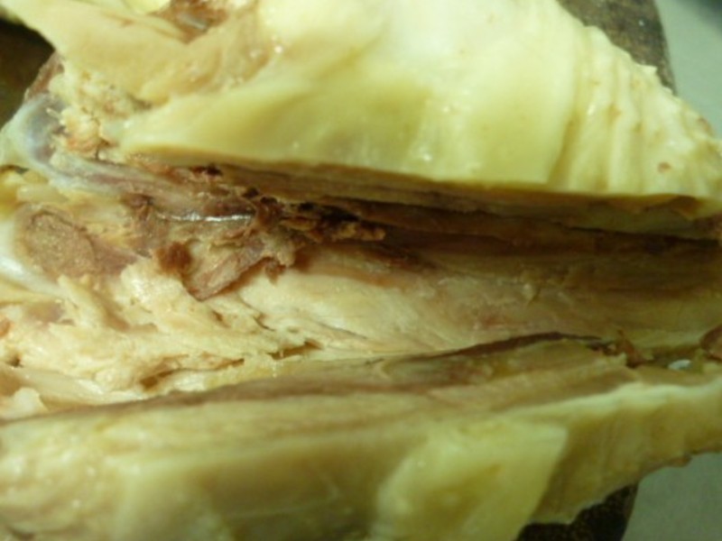 ������֭���ȵ�����