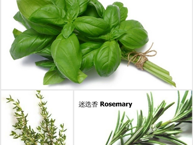 ������˹���Ͽ����� Herbs de Provence Chicken Thighs������