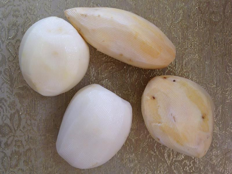 ��ʽ����˫��������