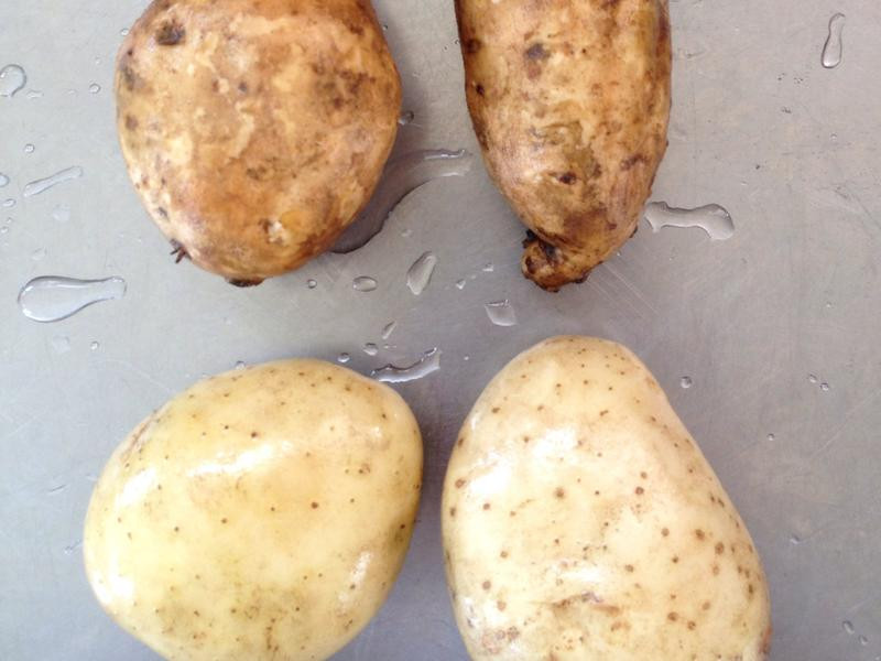 ��ʽ����˫��������