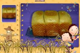 �̲���˾������