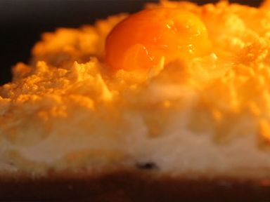 ��������˾������