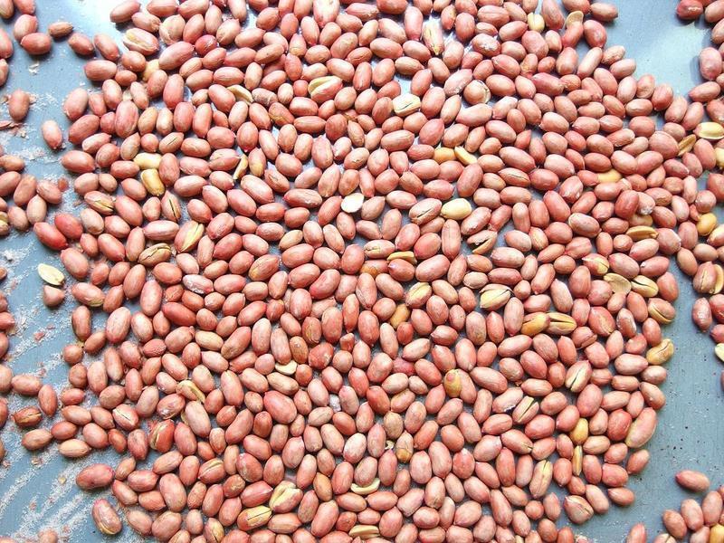 ����������������