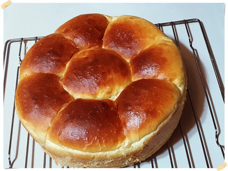 ʧ�ܵĻʺ���˾����������ʹڵ�����