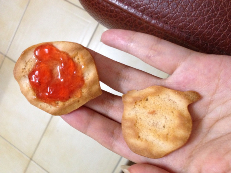 �����ó������ļ��ı���-α������������