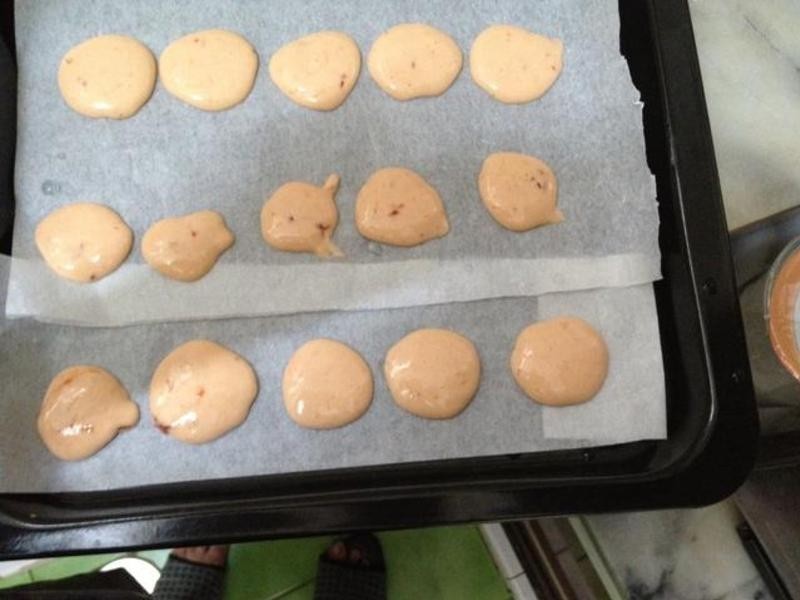 �����ó������ļ��ı���-α������������