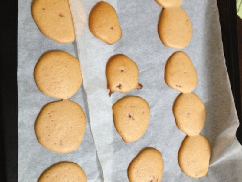 �����ó������ļ��ı���-α������������