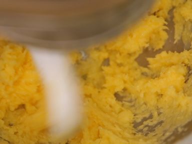 ��ʥ���������