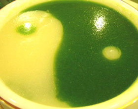 ��̫����������