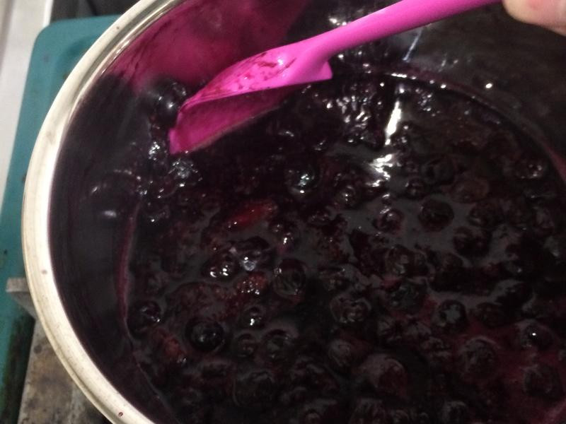 �ۺ�ݮ����������