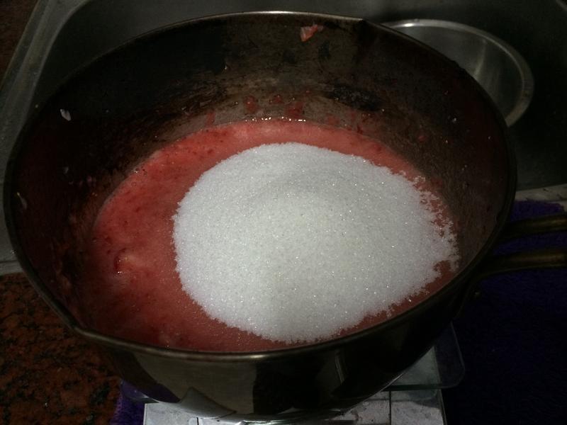 ��ݮ���޶�~��ݮ������������