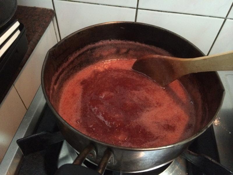 ��ݮ���޶�~��ݮ������������