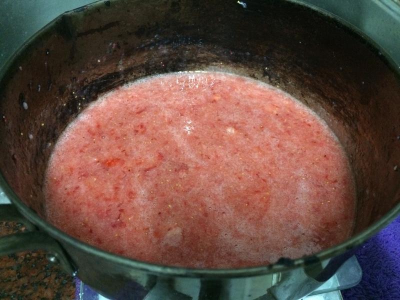 ��ݮ���޶�~��ݮ������������