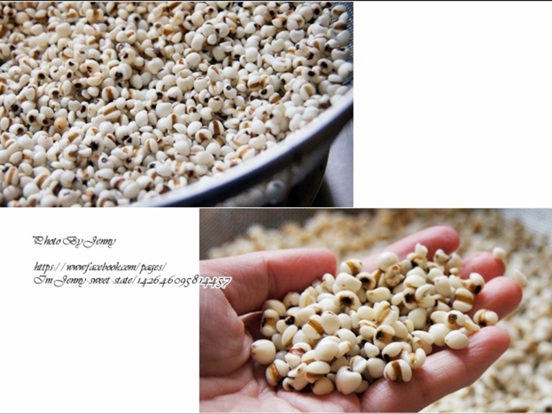 �������׼��?��֥��޲�ʽ�������